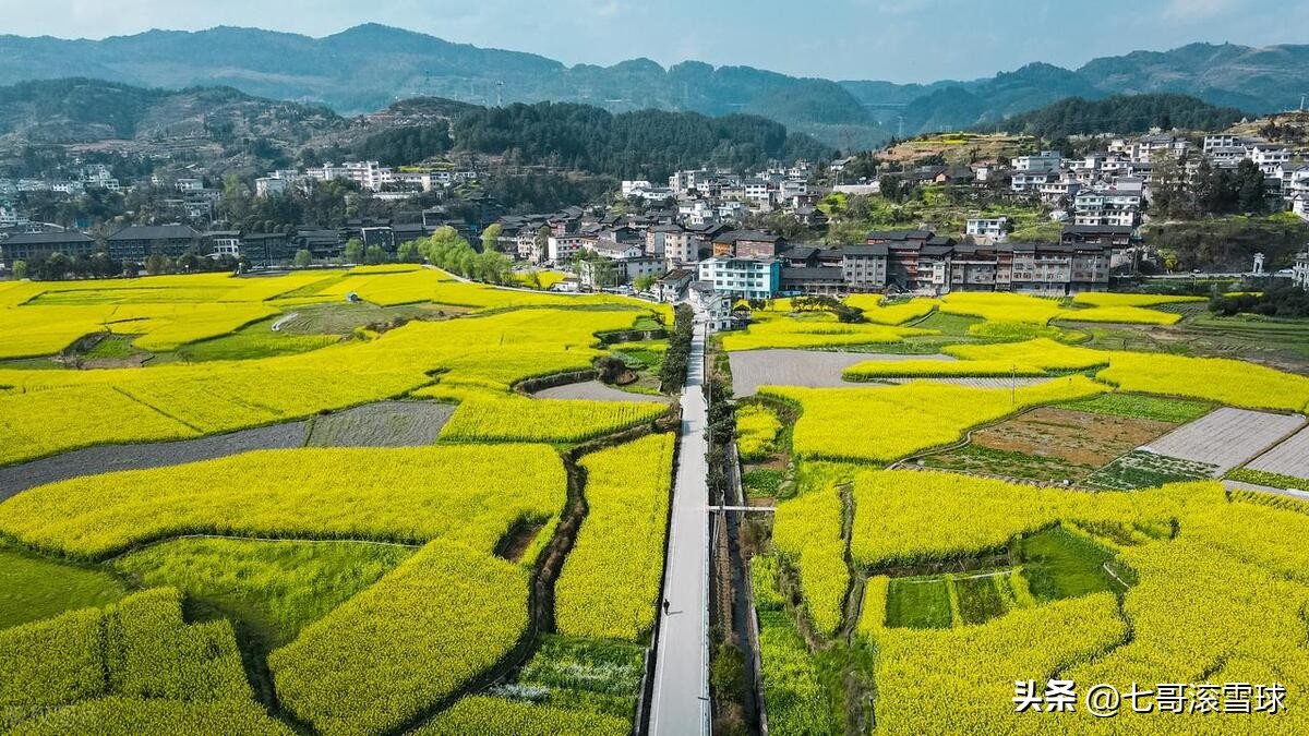 振兴经济只有一招——降息，大幅度地降息，最好降到〇