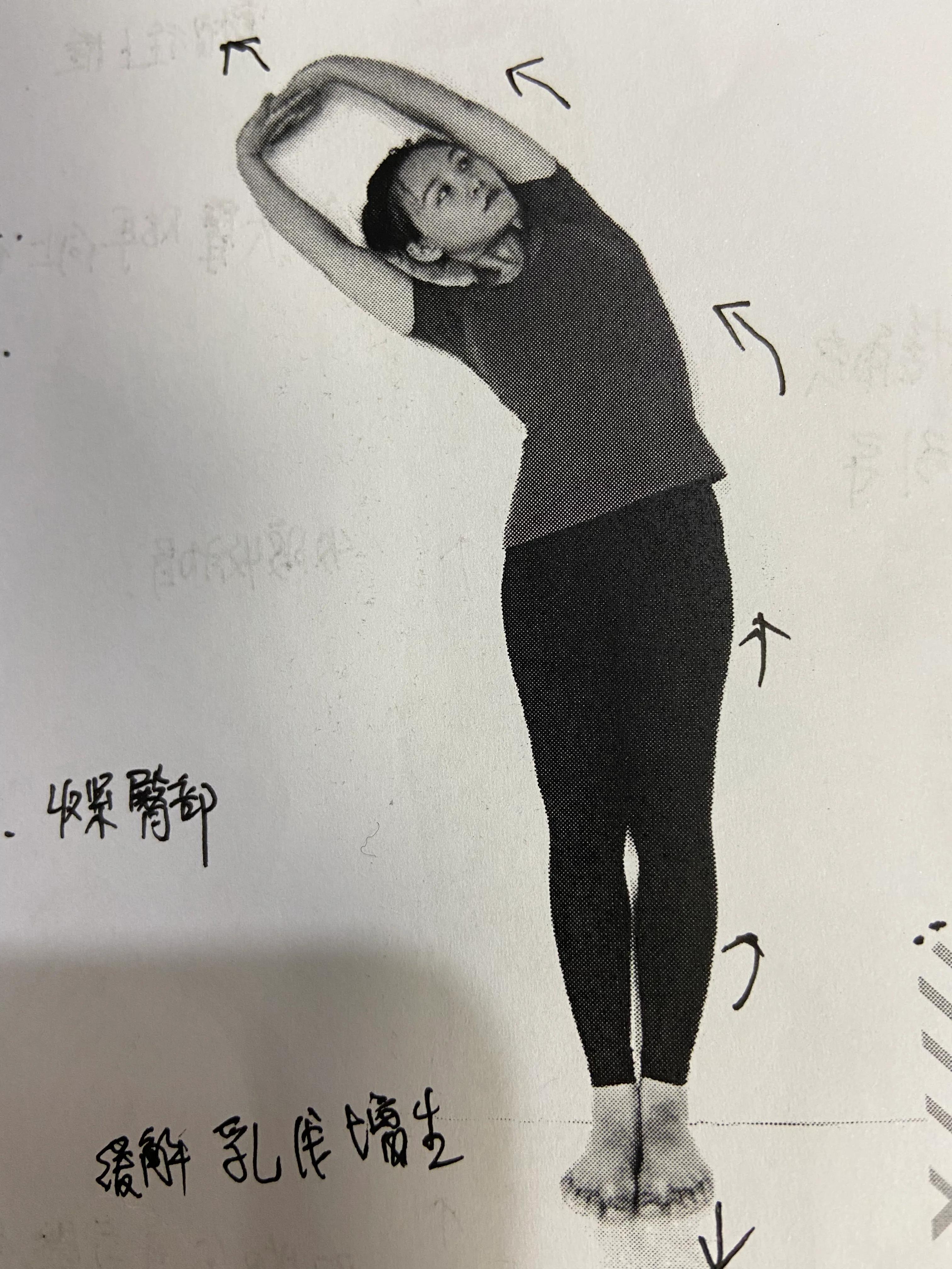 风吹树式口令:风吹树式山式站立,吸气,双手经由体侧向上高举呼气,双手