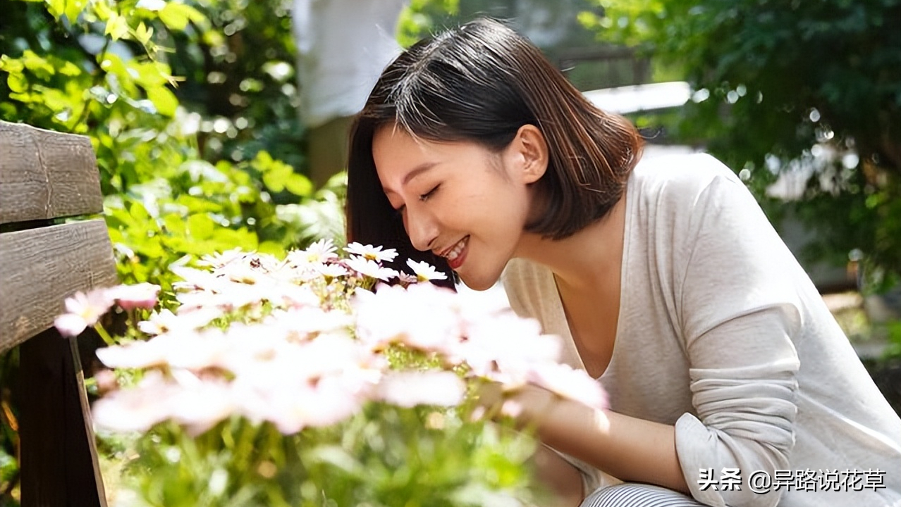 八种常见花的花语激励人心，蕴含人生哲理