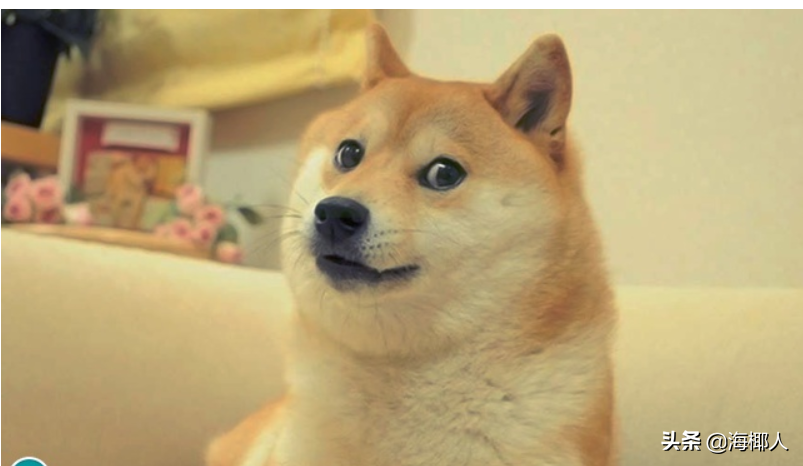 在Arduino中使用看门狗定时器