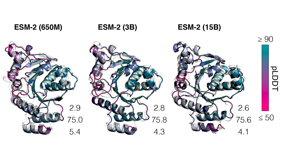 快了一个0！Meta祭出150亿参数蛋白质大模型，碾压AlphaFold2