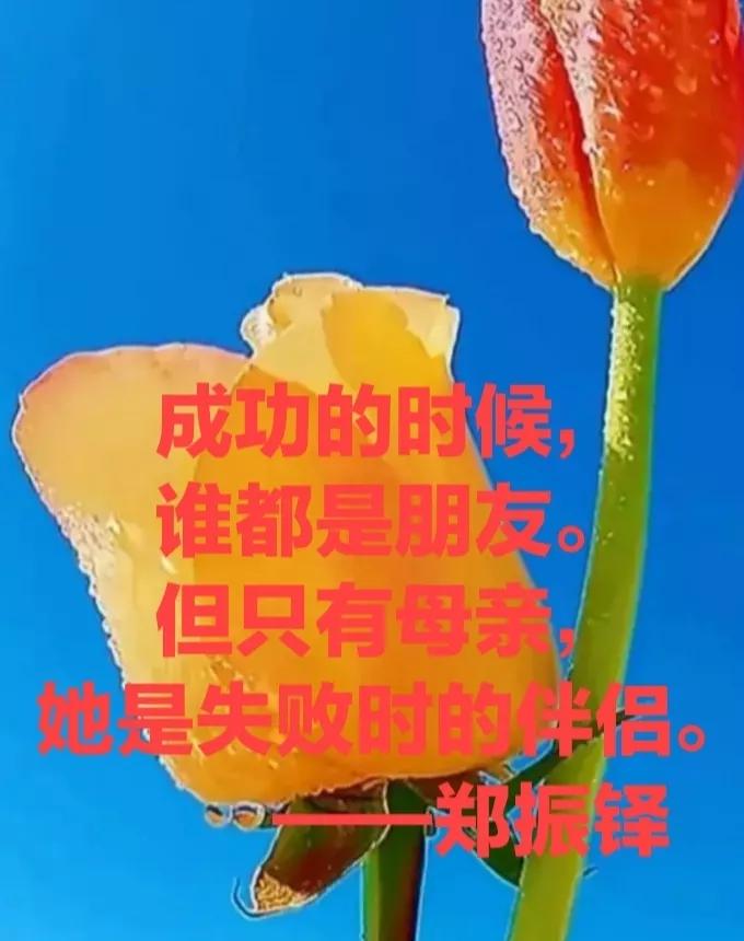 16个赞美母亲的正能量语段，段段经典，句句情深