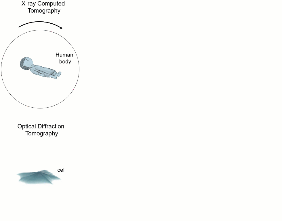 南京理工团队提出无需干涉及染色的三维层析显微成像技术