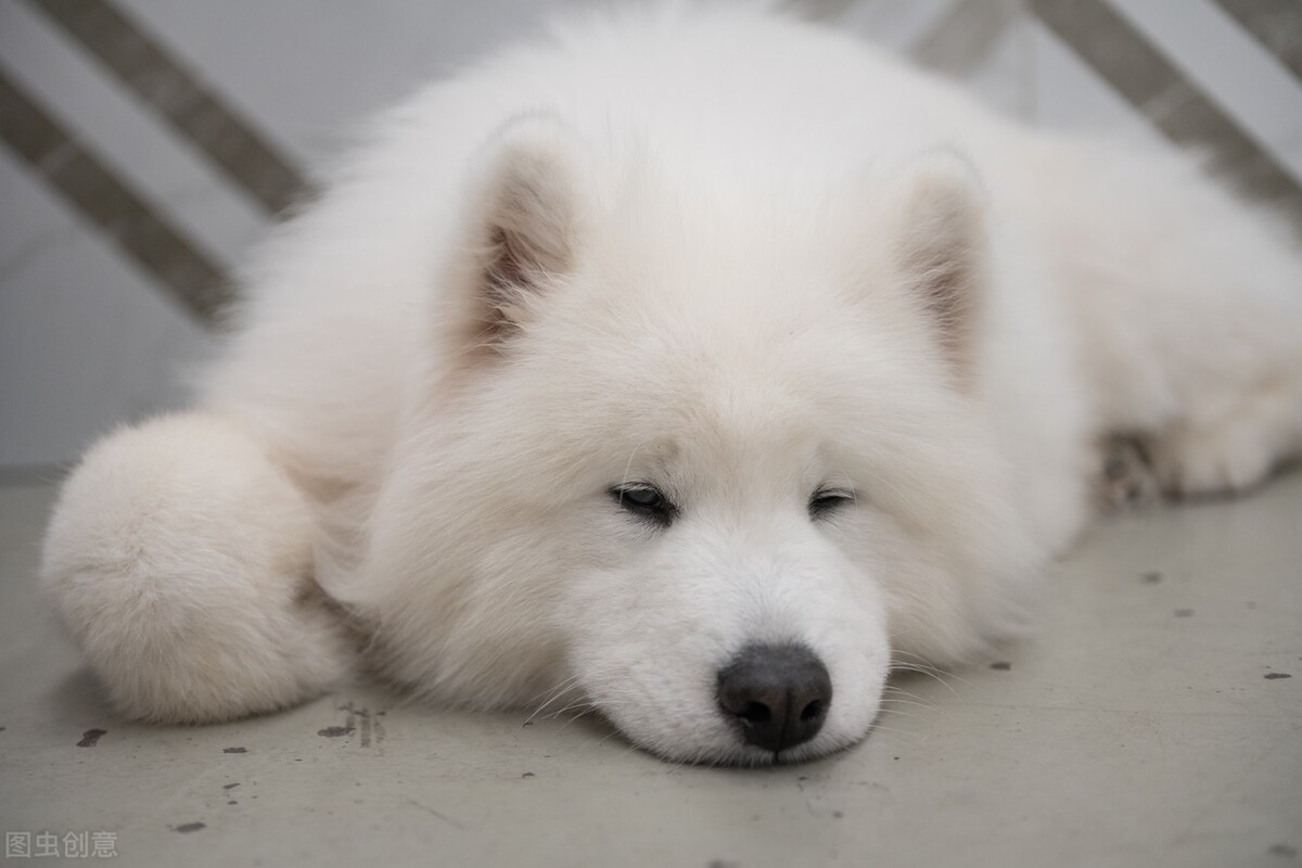 撩人的情话，撩人百分百