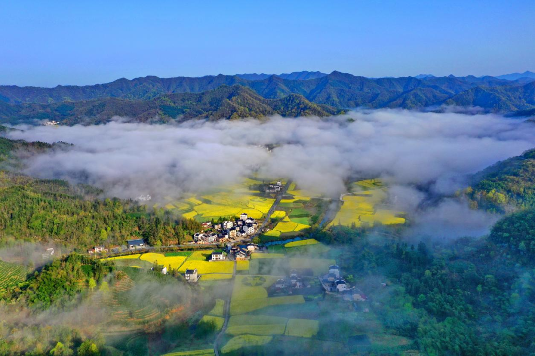 安徽柯村：皖南红色第一村