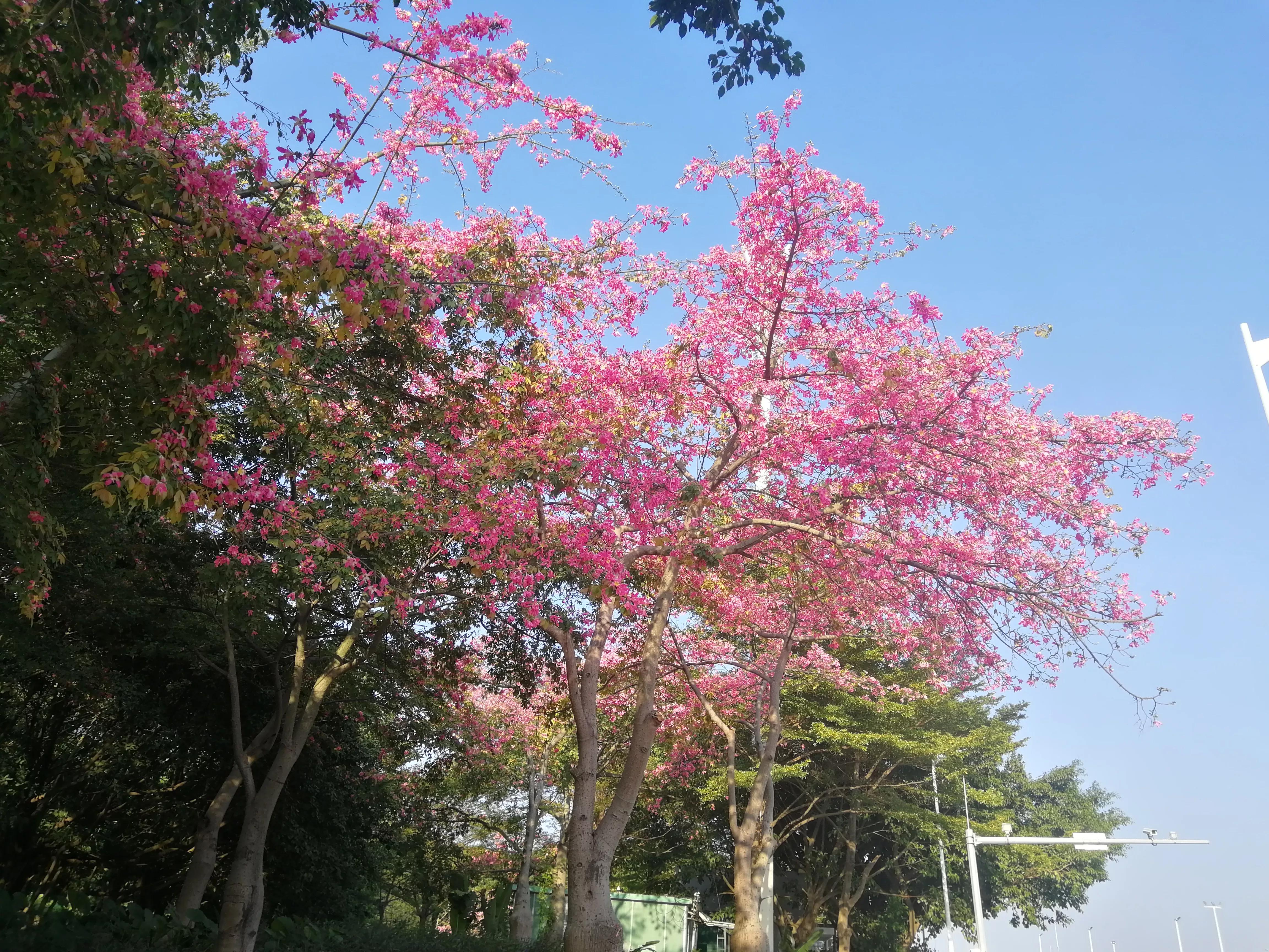 地铁4号线大学城一日游攻略，体验不一样的广州大学城风光（A篇）