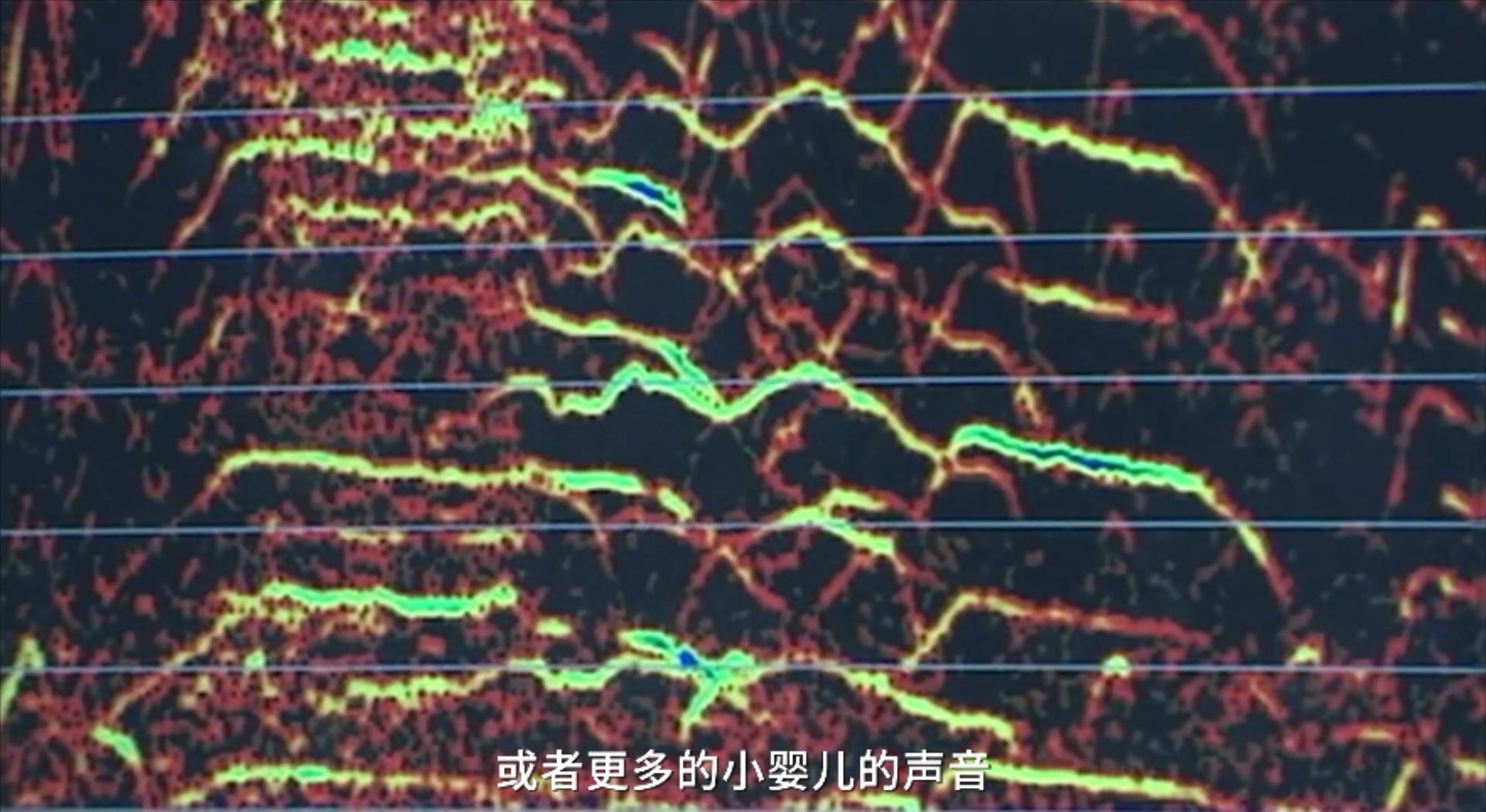 别再吹《咒怨》吓人了，这部17年前的电影才是日式恐怖片的天花板