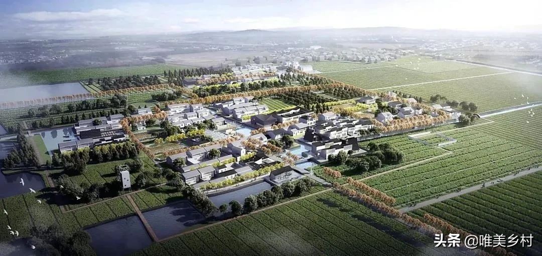 一号文件：“推进”乡村建设！过去、现在、未来？5大风向标