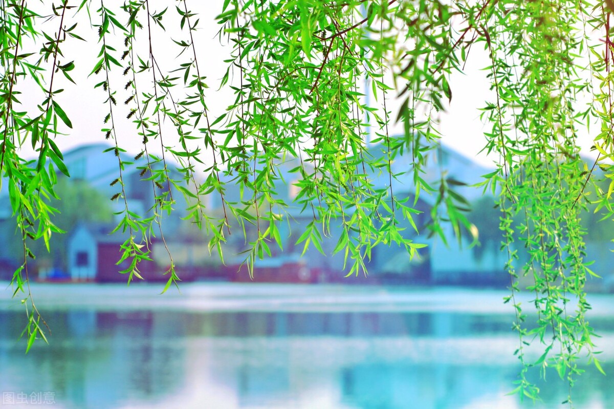 当唐诗宋词遇上春日美景，一起感受春天里的诗意美景