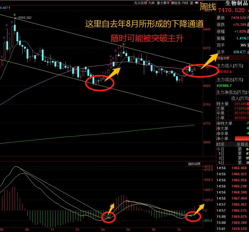 医药随时可能突破，结束去年8月以来的调整行情，毕竟今年回撤23%