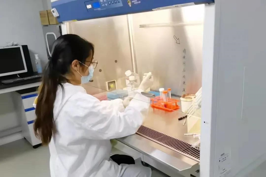 复旦再现女神学霸：4篇SCI，奖学金拿到手软，科研实力超群绝伦