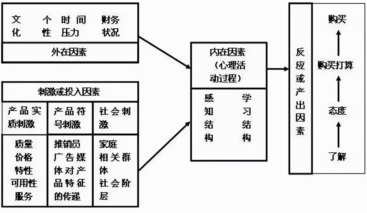 消费者购买行为,消费者购买行为类型