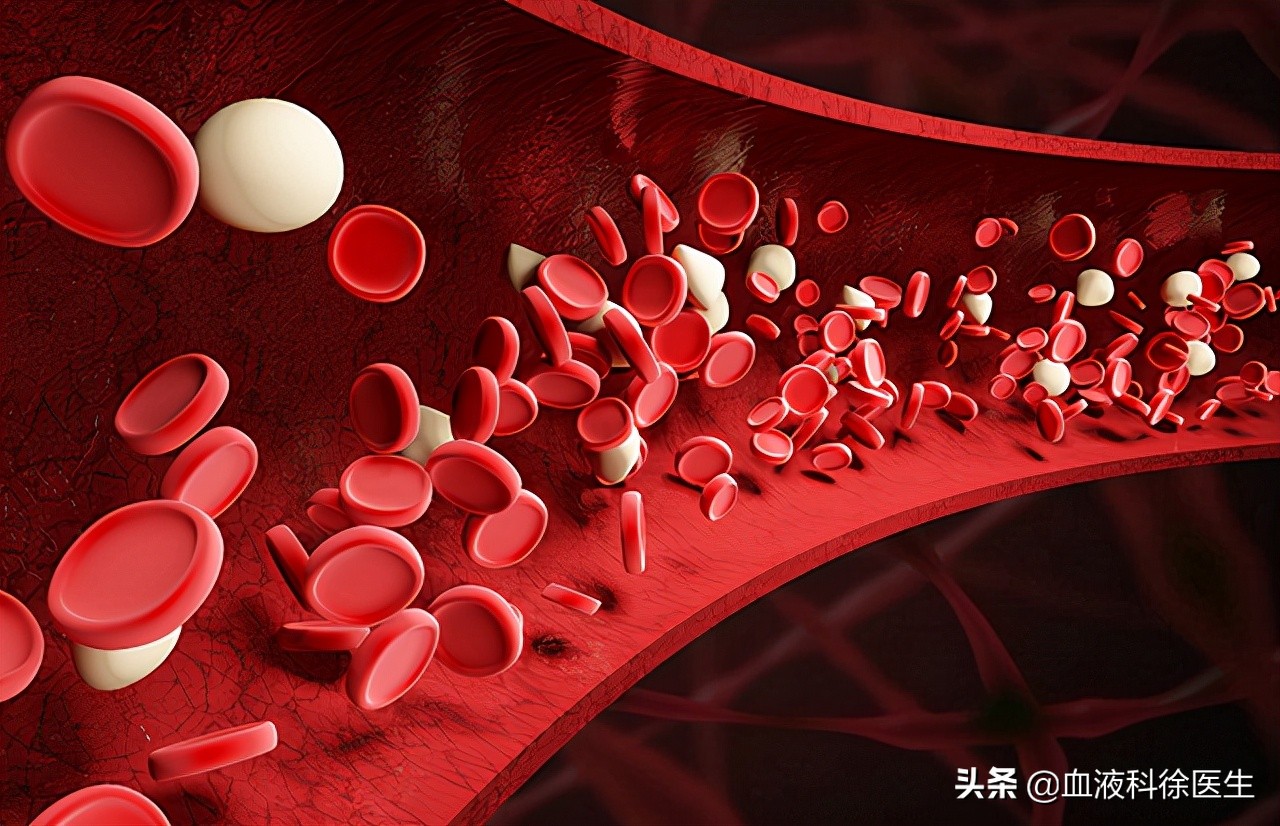 血液粘稠怎么调理？