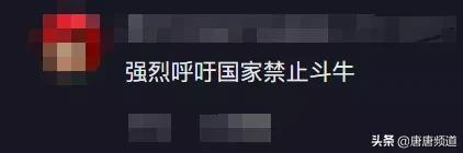 中国网红城市图鉴:狂野刺激的贵州斗牛,比西班牙斗牛勇百倍