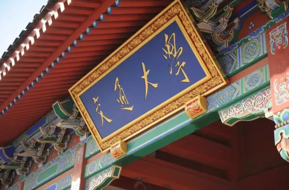 高考锦鲤556分考入上交，这志愿填的真有技术水平，差一点都不行