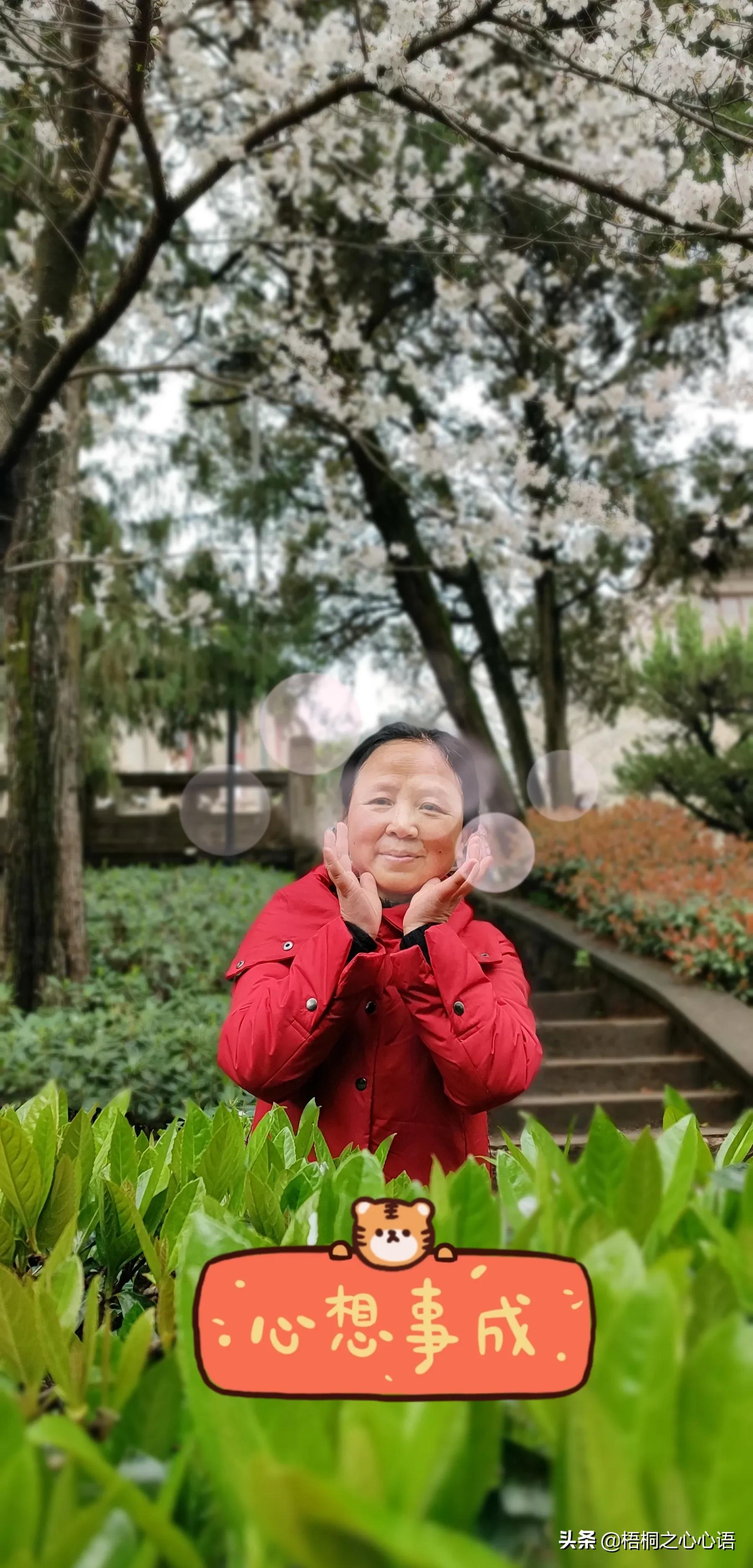 去年樱开时，那些漫妙记忆，此生许没再见时，存此让友情天长地久