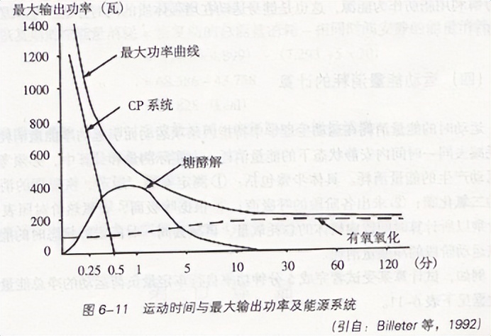 运动时间与最大输出功率及能源系统