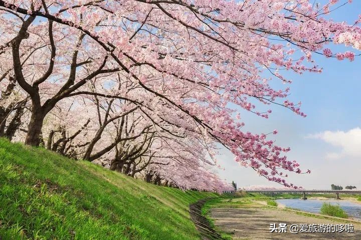 日本12处“零差评”宝藏旅行地，速度mark