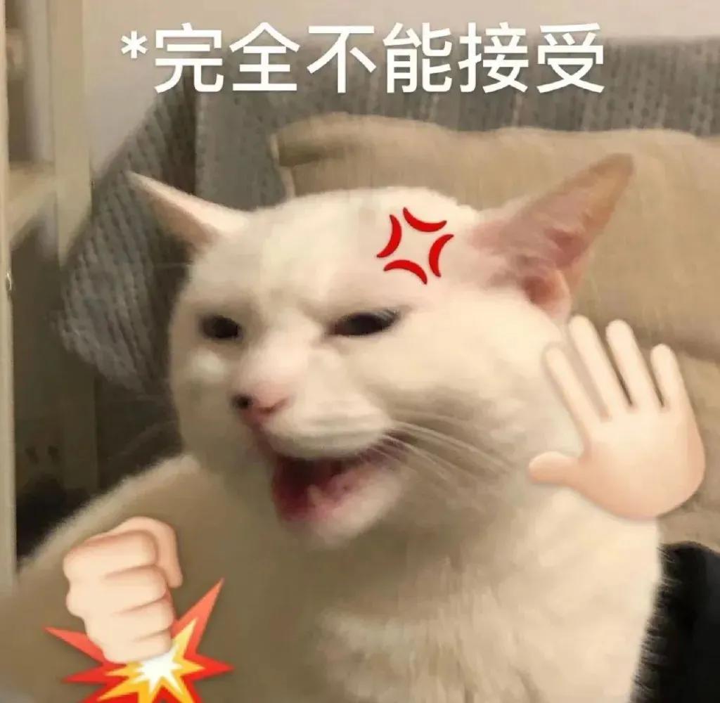 搞对象用的可爱猫咪表情包 谁又会在乎我的感受呢