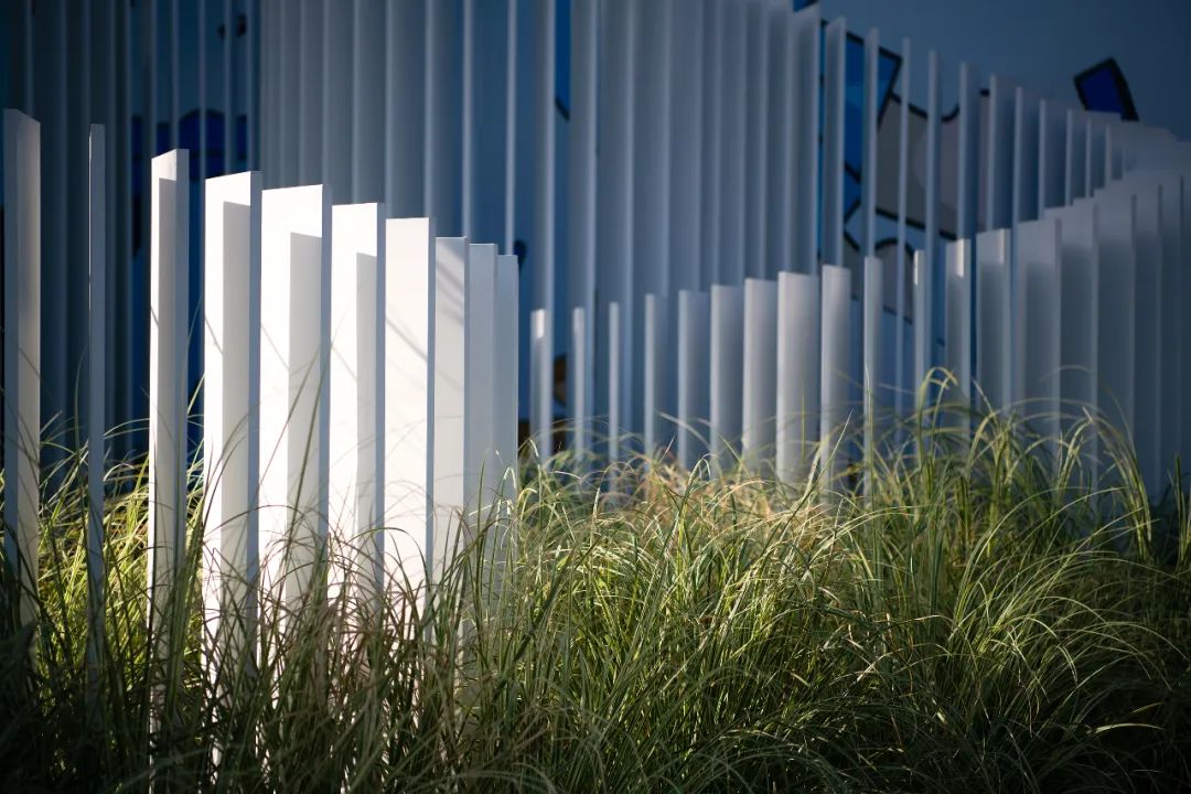 美妙的公园设计，是“纯欲天花板”