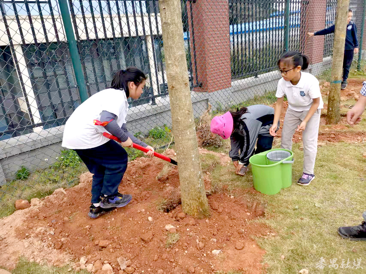 華師附屬大學(xué)城小學(xué)舉行植樹(shù)活動(dòng)(圖4) 華師附屬大學(xué)城小學(xué)舉行植樹(shù)活動(dòng)(圖4)