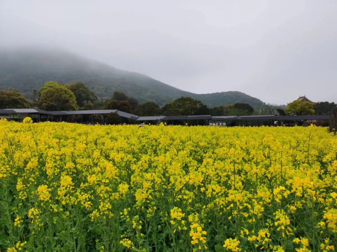 设计单位没有资质，另找单位加盖出图章的费用，由谁承担？