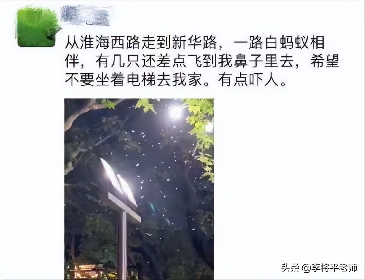 刘畊宏边直播边打白蚁,为何上海白蚁先一步复工复产,能灭绝吗?
