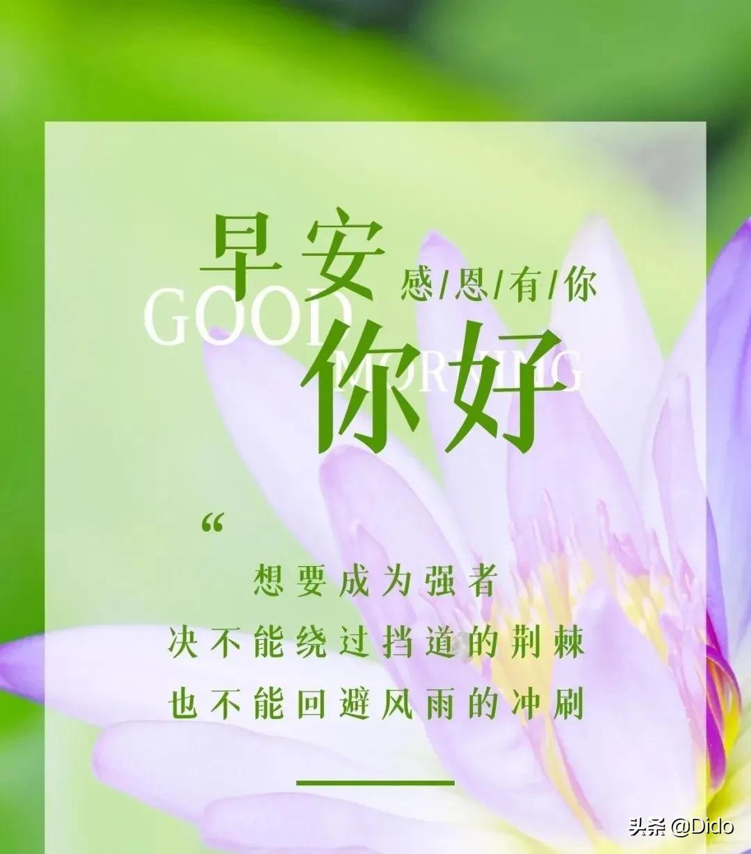 早安祝福图片，暖暖阳光温暖你，祝你开心一春天