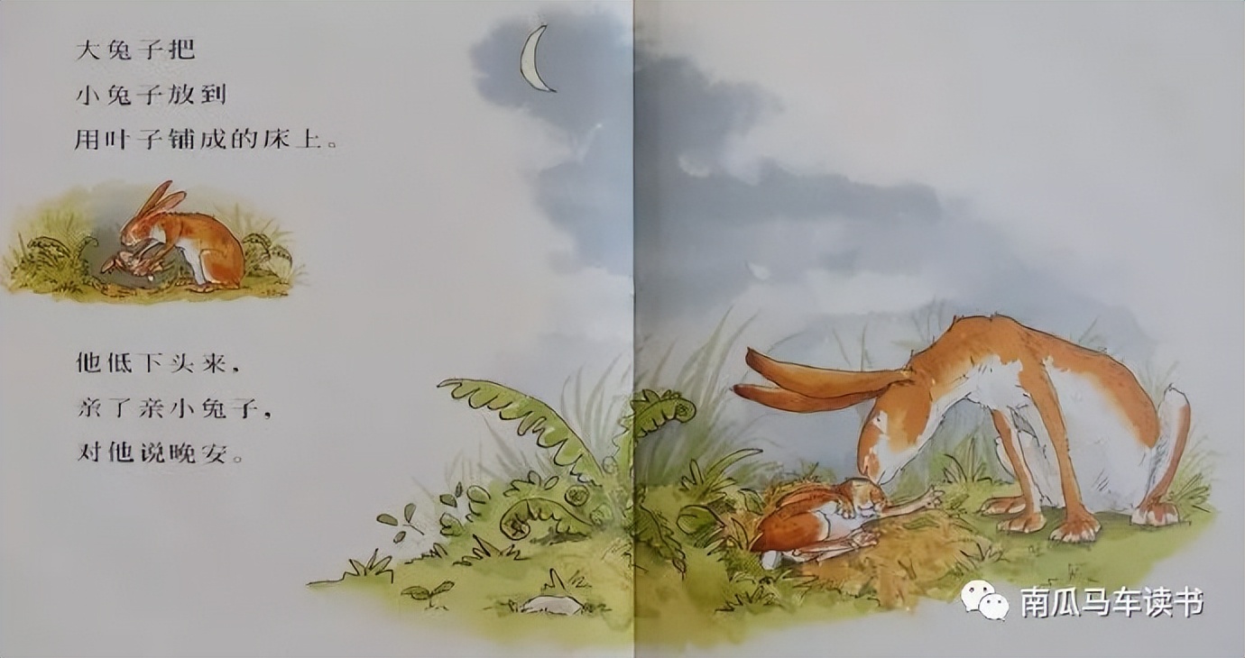 绘本《猜猜我有多爱你》：致敬母亲节——母爱到底有多长