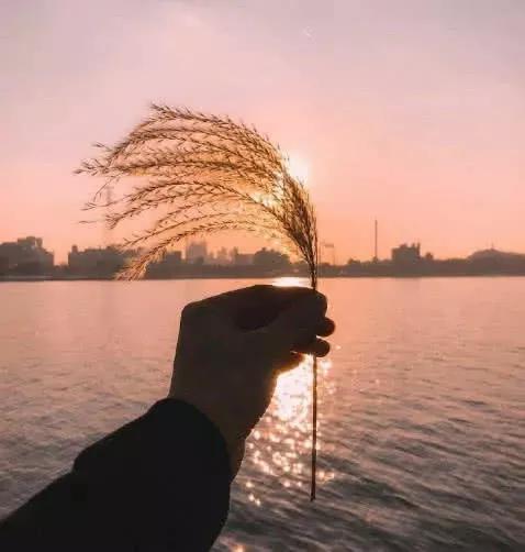 徐克冲上热搜，搜一下他的成长经历，我明白了喜欢做什么很重要