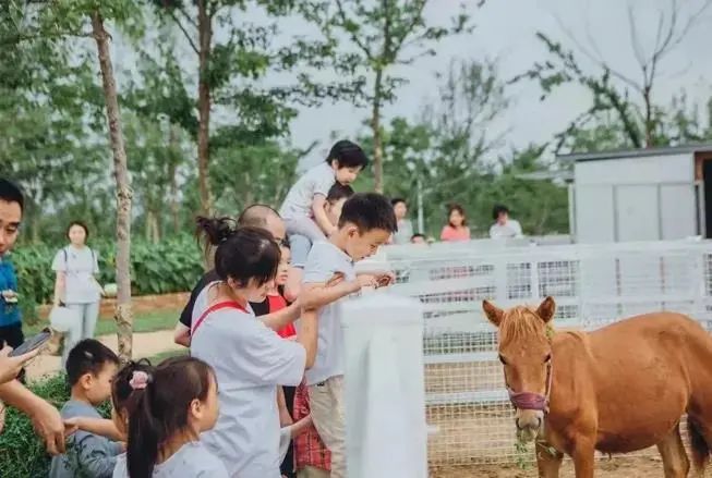 人少空气好，江夏这个亲子游好去处又添新玩法