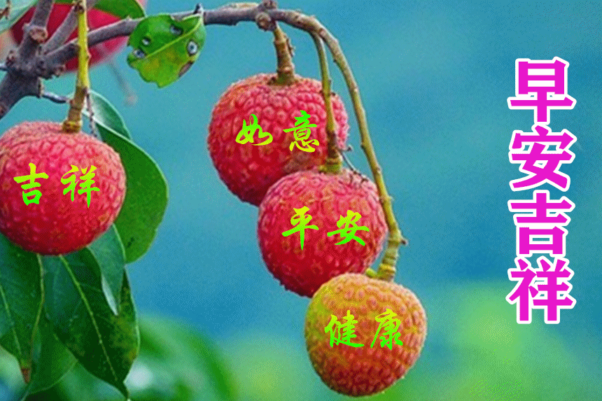 早安祝您安康快乐，愿你如诗，未来可期