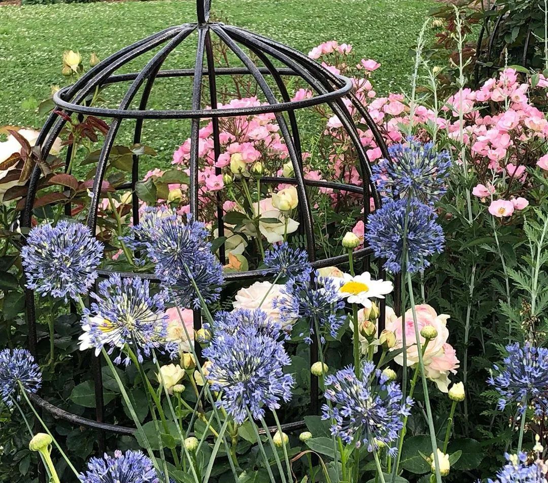 25种花境设计，让生活更美好，你最喜欢哪种？