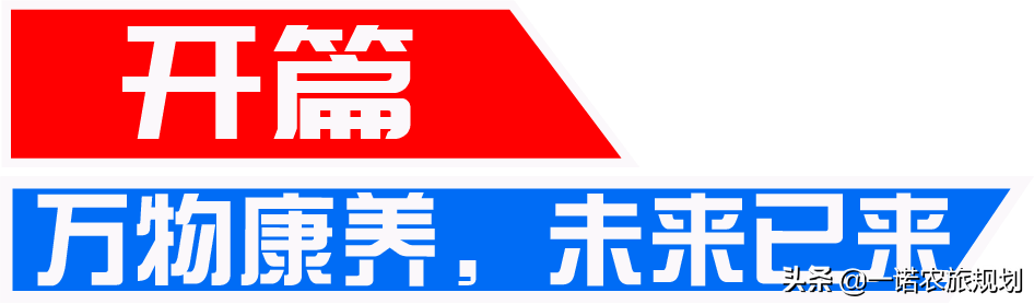 中国康养产业未来最值得布局的10大赛道，都是什么？