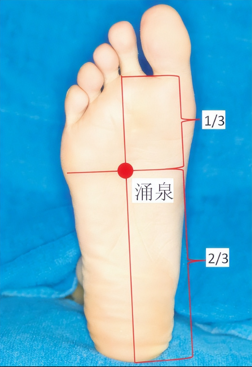 肉桂有非常好的引火归元的作用,而吴茱萸也有非常好的这种散寒止痛的
