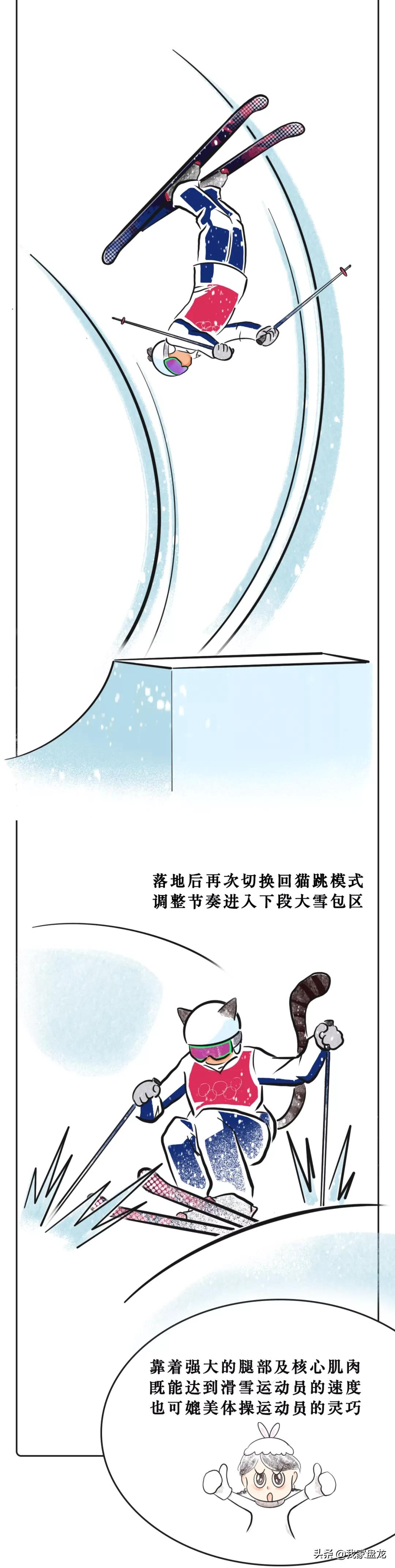 奥运会的图案一般有哪些(一条漫画带你看懂北京冬奥会15个比赛项目！)