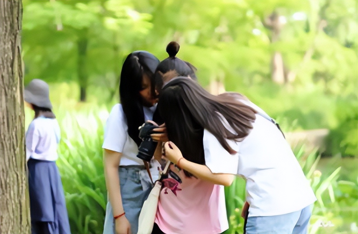 高考后怎样选学校，可参考招生简章的内容，特别是这四点可以借鉴