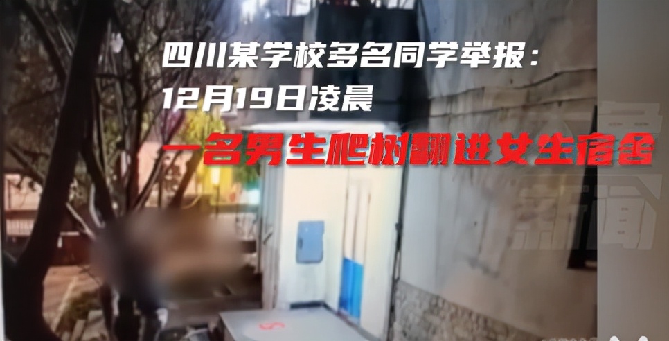 男学生不知廉耻，翻入女寝偷衣服，动作娴熟流畅，可能不是第一次