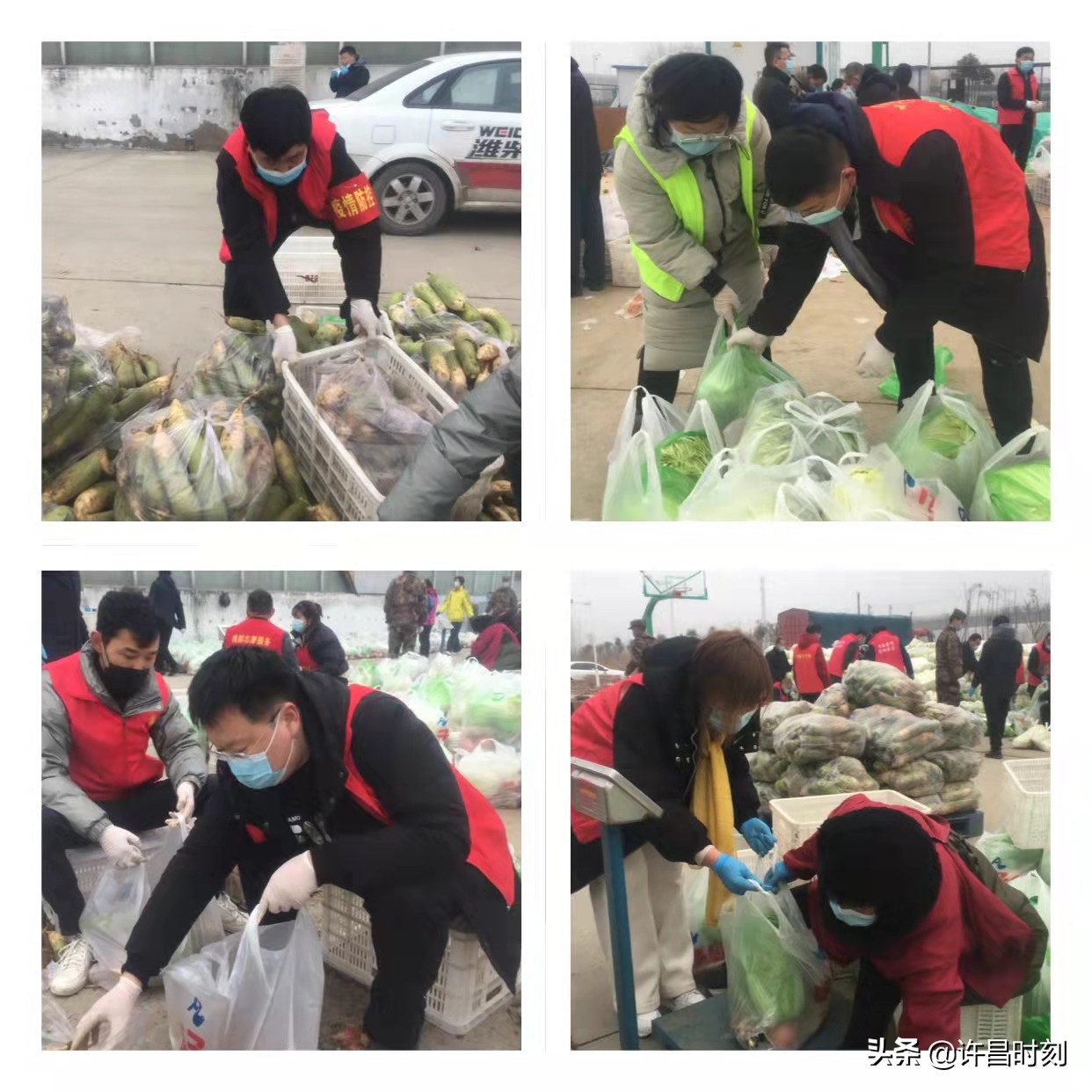 寒冬有爱“蔬”你最暖 魏都区民政局4小时加装蔬菜包5吨助力全区“魏”禹行动