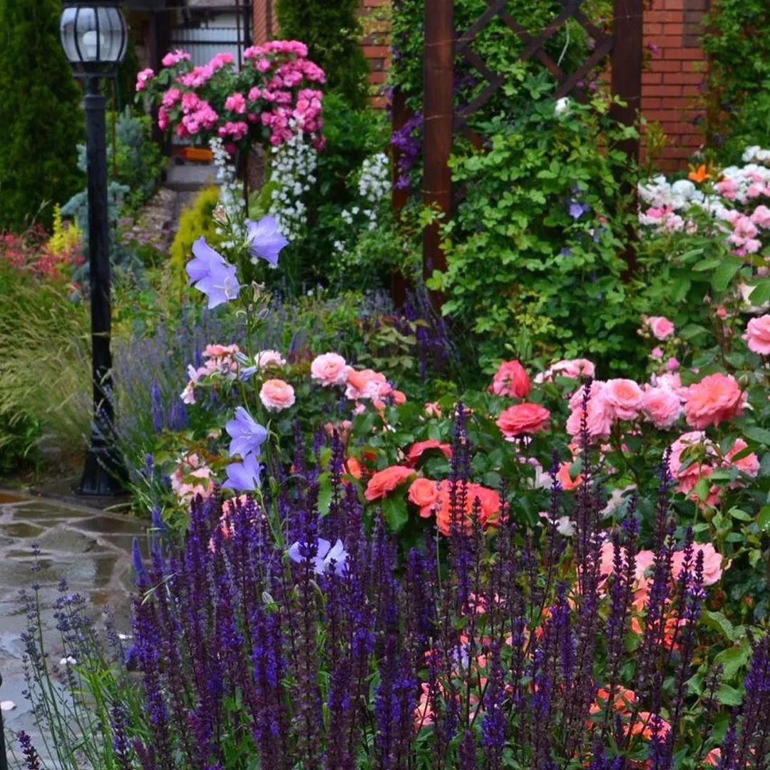 25种花境设计，让生活更美好，你最喜欢哪种？