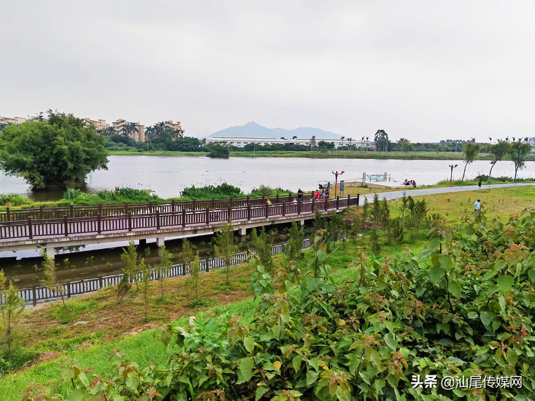 海丰县城里居然藏着这样一个网红打卡地