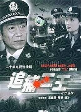 大案要案纪实连续剧有哪些中国十大真实刑侦案改编电视剧