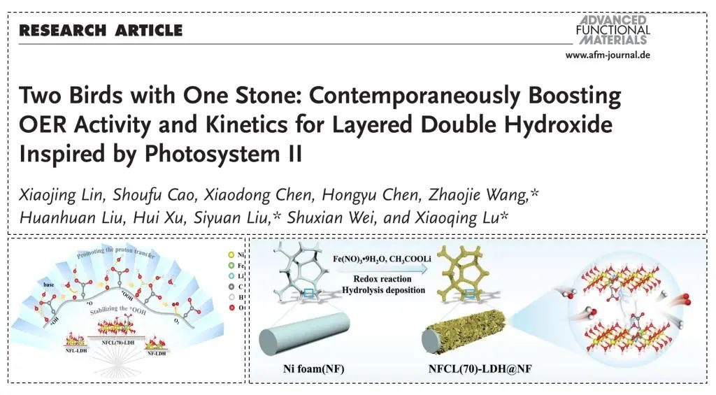 中石油大学（华东）在能源小分子催化转化与碳捕获分离获系列进展
