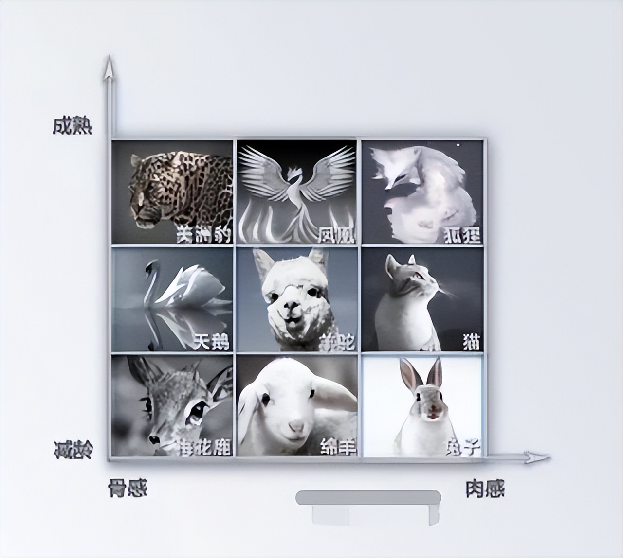 39岁的金莎甜美如初，网友：对她永远有18岁的滤镜，她凭什么？