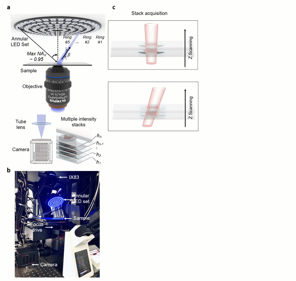 南京理工团队提出无需干涉及染色的三维层析显微成像技术