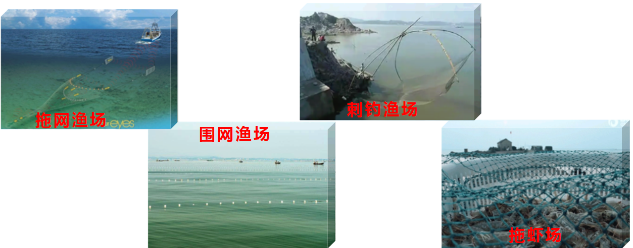 南海著名的四大渔场，看看你知道是哪四个海洋渔场？
