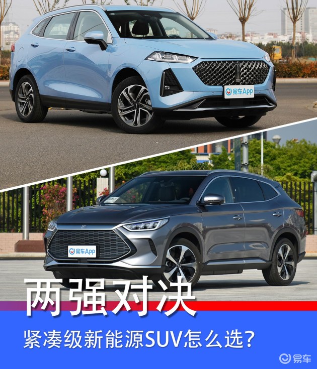 两强对决：最新汽车报价全解析