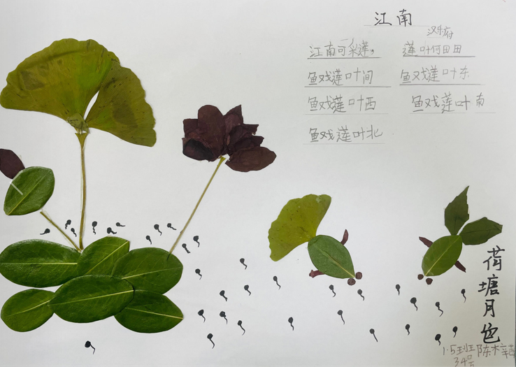 成都市双流区实验小学外国语学校开展阅读课程专题研讨教研活动