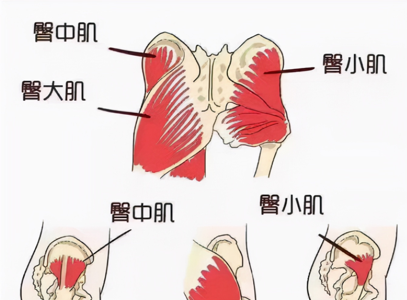 老年人常常下肢无力？可能是这5个原因导致的，医生教您如何应对