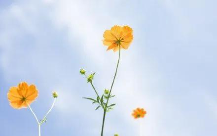 喝酒记得关机，容易打给不该打的人